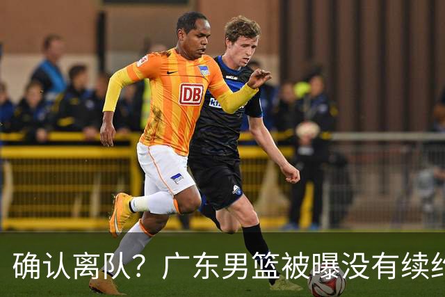 确认离队？广东男篮被曝没有续约杜锋，新主教练人选正式曝光！